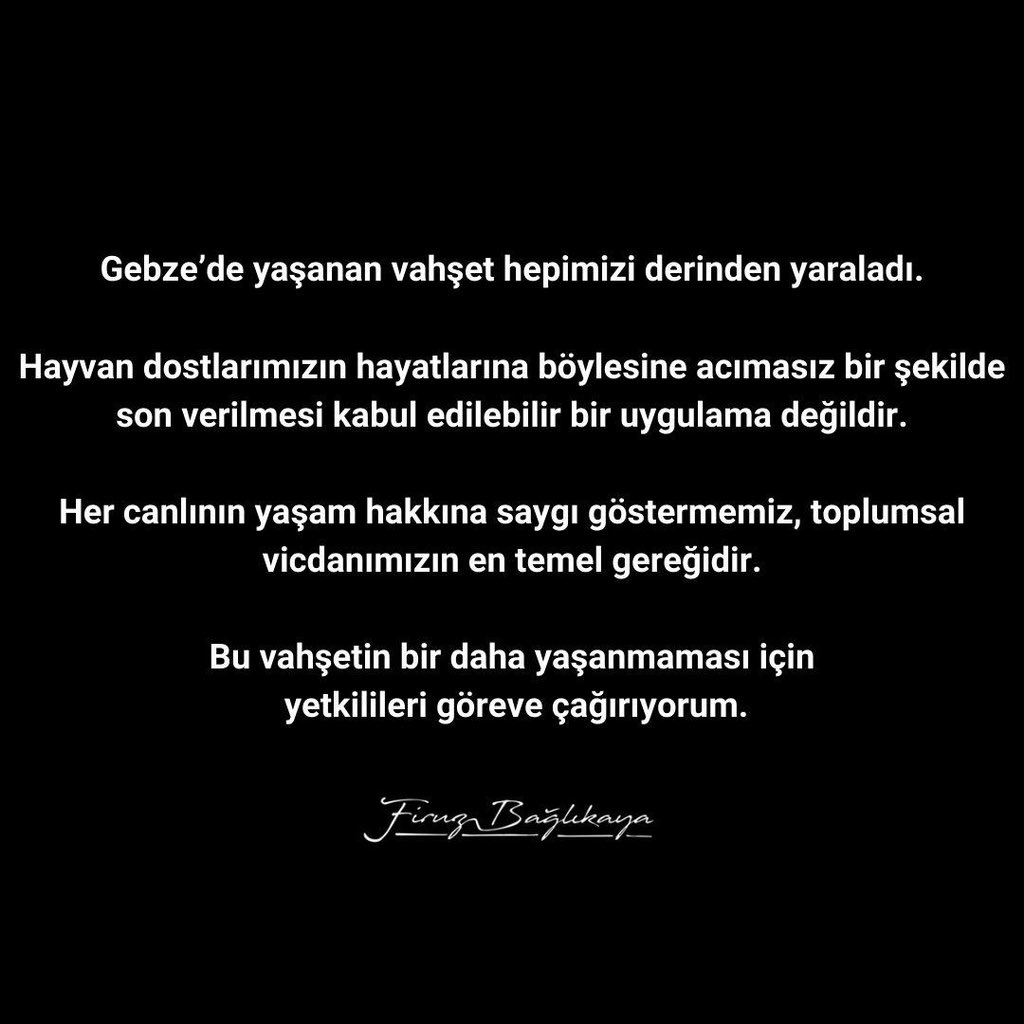Gebze'de Hayvanlara Yapılan Acımasız Saldırı Toplumu Derinden Etkiledi