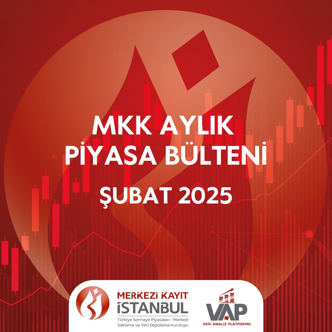 MMK'nın Şubat 2025 Aylık Piyasa Bülteni Yayınlandı