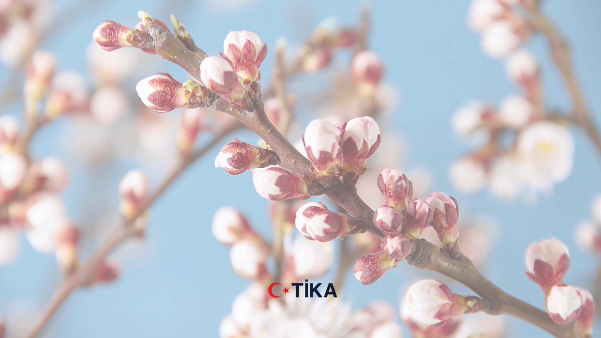 TİKA, Hıdırellez'de Sağlık, Barış ve Huzur Dileği Yaptı