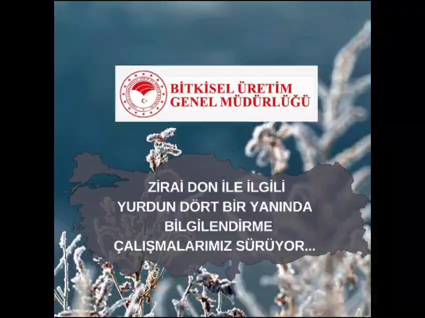 Tarım ve Orman Bakanı Yumaklı, Zirai Don Olayı Sonrası Üreticilerle Birlikte Çalışıyor