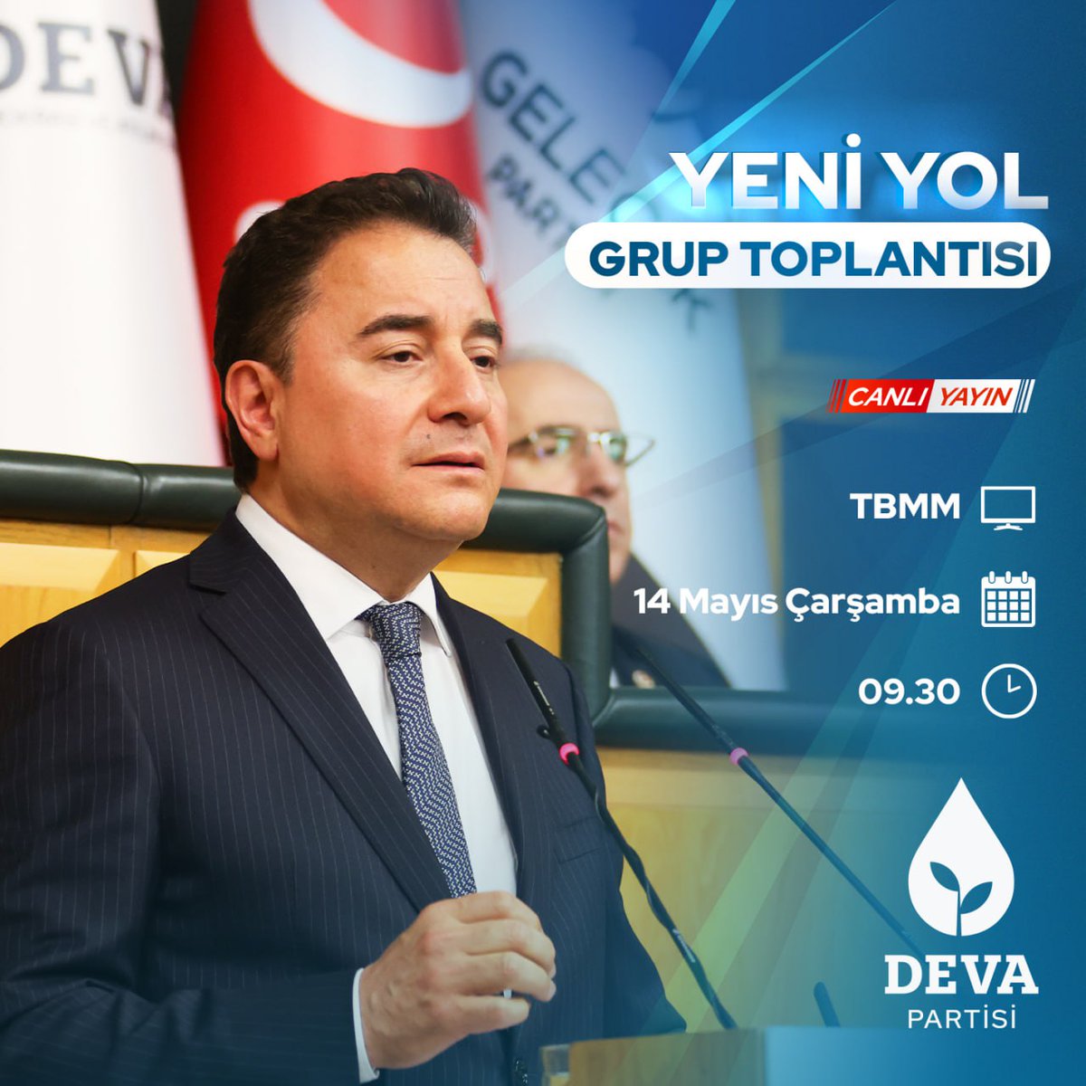 Deva Partisi, TBMM'de 