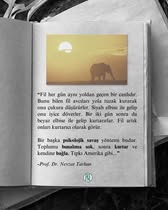 TBMM Başkanı Vural'dan ABD'nin Bölme Planı İddiası ve İlişkilerde Yeniden Düşünme Çağrısı