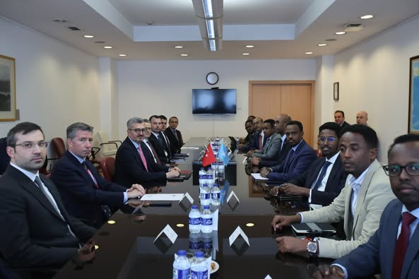 Dışişleri Bakan Yardımcısı Duran, Somali'li Muhatabıyla Stratejik İletişim İşbirliğini Görüşdü